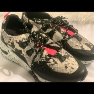 NWOB Steve Madden Girl Snake Print Sneaker Shoes